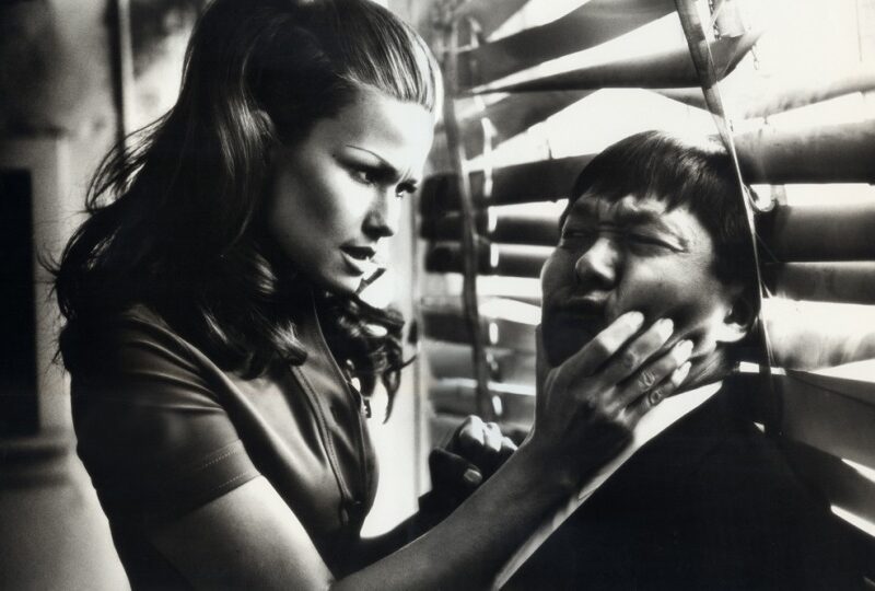 Photographer: Michelangelo Di Battista - Model: Larissa Bondarenko - Location: Los Angeles - Hair: Pier Giuseppe Moroni 